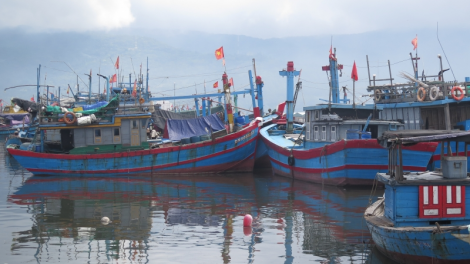 Đà Nẵng tăng cường kiểm soát tàu cá, tập trung gỡ thẻ vàng EC (14/5/2023)