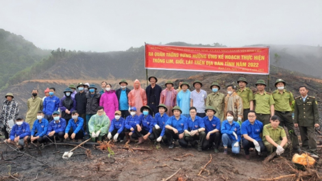 Màu xanh bền vững từ những cánh rừng gỗ lớn (6/5/2023)