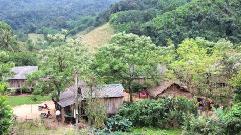 Quảng Bình: Giải ngân vốn đầu tư vùng dân tộc thiểu số, miền núi rất chậm (29/5/2023)