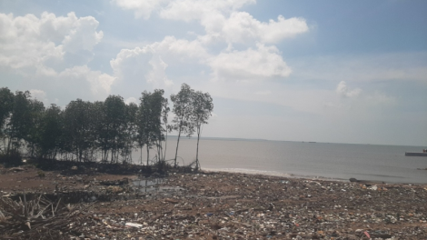 Đầu mùa mưa báo động sạt lở ven sông, ven biển tại Tiền Giang. (29/5/2023)