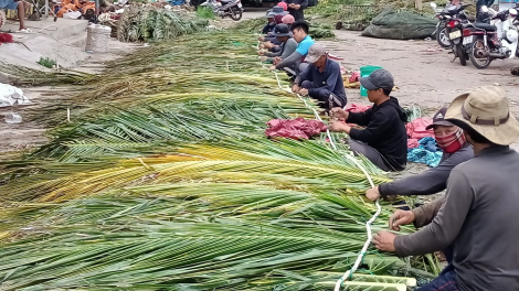 Ngư dân Bình Thuận làm “nhà” cho cá (6/5/2023)