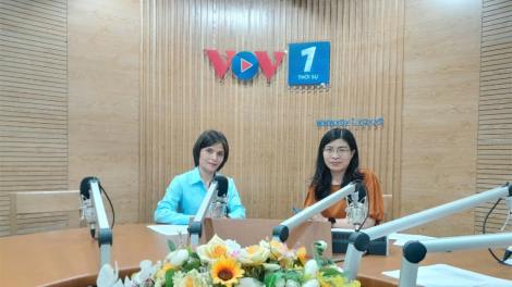 Làm gì để thúc đẩy cải thiện môi trường kinh doanh, gỡ khó cho doanh nghiệp? (12/05/2023)