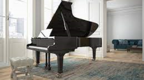 Nhạc sĩ người Anh sáng tạo cuộc đời mới cho những chiếc piano bị vứt bỏ (23/5/2023)