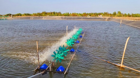 Chủ động phòng chống nắng nóng cho thủy sản (21/05/2023)