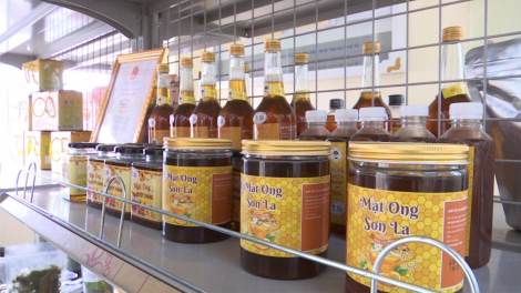 Mật ong hoa nhãn - sản phẩm OCOP 4 sao nổi tiếng của Sông Mã (4/5/2023)