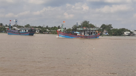 Ngư dân Tiền Giang nỗ lực khắc phục khó khăn, chấp hành tốt quy định IUU (11/5/2023)