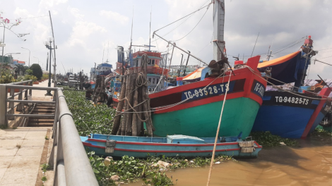 Tiền Giang: Ngư dân chấp hành các quy định chống khai thác thủy sản bất hợp pháp (22/5/2023)