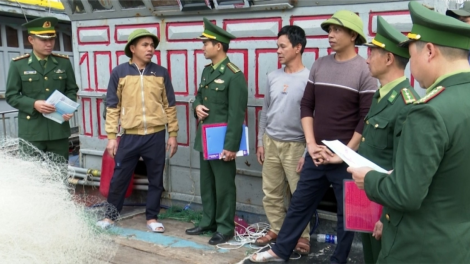 Thanh Hoá: Tuyên truyền chống khai thác thuỷ sản bất hợp pháp (17/5/2023)