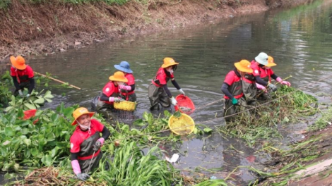 "Bình Dương xanh", những người giúp các dòng sông trong xanh, sạch đẹp hơn.