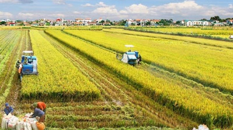 Việt Nam là nhà cung cấp lương thực trách nhiệm cho toàn cầu  (19/6/2023)