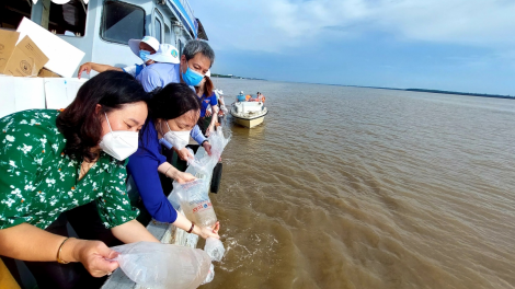 Khai thác đi đôi với bảo vệ tài nguyên biển (12/06/2023)