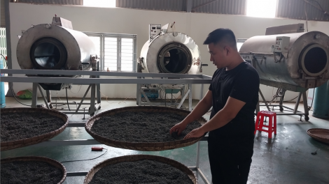 Tuyên Quang: Chuyển đổi số thúc đẩy phát triển nông nghiệp (26/6/2023)