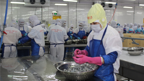 Đơn hàng giảm sút, doanh nghiệp thủy sản cơ cấu lại thị trường xuất khẩu (02/6/2023)