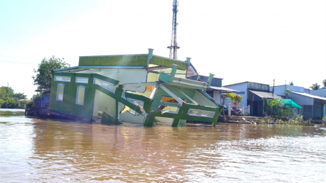 Cà Mau: nan giải tình trạng sạt lở bờ sông (6/6/2023)