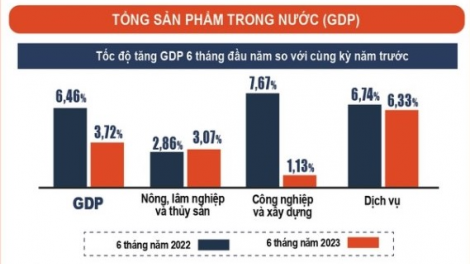 Góc nhìn chuyên gia qua con số tăng trưởng GDP 6 tháng đầu năm (30/06/2023)