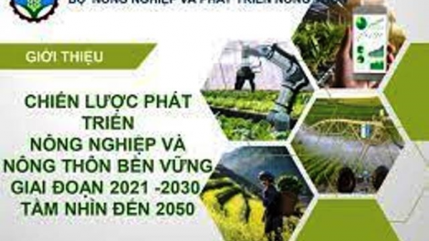 Chuyển đổi hệ thống lương thực thực phẩm thích ứng với biến đổi khí hậu trong bối cảnh khủng hoảng mới. (5/6/2023)