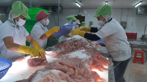 Tiền Giang: Nỗ lực ổn định việc làm cho công nhân lao động trước nguy cơ thất nghiệp (01/6/2023)