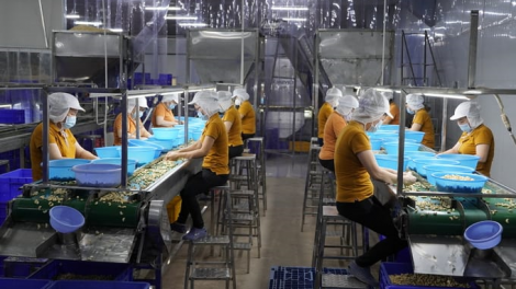 Doanh nghiệp FDI mở rộng đầu tư, cơ hội cho doanh nghiệp Việt (20/6/2023)
