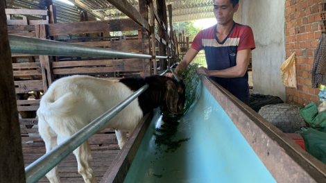 Gia Lai: Nông thôn mới trong vùng dân tộc thiểu số đang dần khởi sắc (24/6/2023)