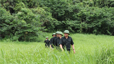 Những người giữ rừng ở Đông Bắc (25/6/2023)