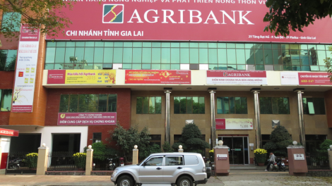 Nông dân Gia Lai làm giàu nhờ nguồn vốn ưu đãi Agribank (13/06/2023)