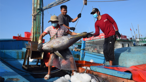 Bàn giải pháp triển khai thực hiện hệ thống truy xuất nguồn gốc thủy sản khai thác điện tử (12/6/2023)