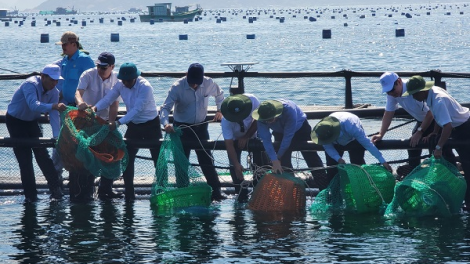 Nuôi biển công nghiệp gắn bảo vệ môi trường, tích hợp phát triển đa ngành (05/07/2023)