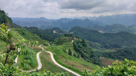 Hà Giang: Bài học từ việc khai thác rừng trái phép (17/7/2023)