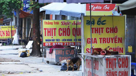 Đề xuất thí điểm Hà Nội nói không với thịt chó, mèo: Liệu có khả thi? (11/7/2023)