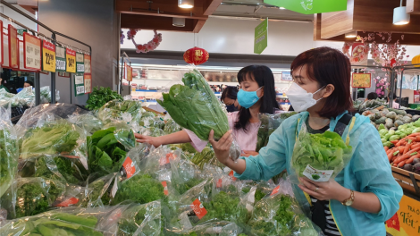 TP.HCM có vai trò kích hoạt nông nghiệp bền vững (15/7/2023)