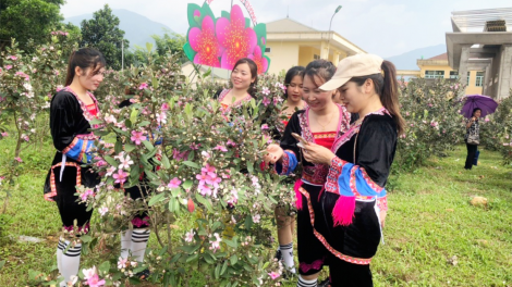 Quảng Ninh: Thí điểm xây dựng 4 làng dân tộc thiểu số (15/7/2023)