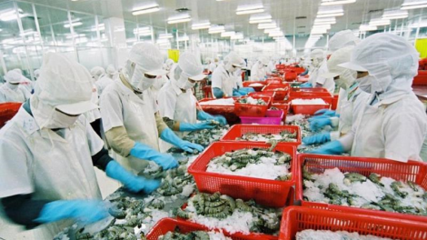 Thủy sản phục hồi xuất khẩu những tháng cuối năm (16/7/2023)