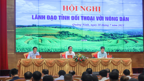 Quảng Ninh: Nông dân trăn trở “thiếu liên kết sản xuất” (29/7/2023)