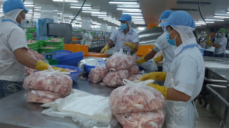 Tiền Giang: Nỗ lực giải quyết khó khăn cho 28.000 lao động bị mất, giảm việc làm (14/7/2023)