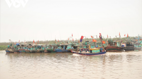 Hải Phòng: Đẩy mạnh chống khai thác IUU, góp phần phát triển thủy sản bền vững (26+27/07/2023)