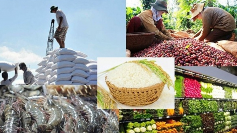 THỜI SỰ 6H SANG 04/7/2023: Lần đầu tiên kim ngạch xuất khẩu rau quả của nước ta đạt gần 2 tỷ 800 triệu USD trong 6 tháng, gần đạt mục tiêu của cả năm nay