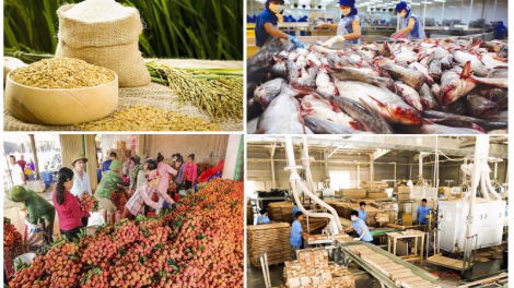 Xuất khẩu nông sản - thách thức với mục tiêu 55 tỷ USD (10/07/2023)