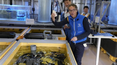 Tổng Giám đốc IAEA tới Hàn Quốc trấn an vụ nước thải Fukushima (09/7/2023)