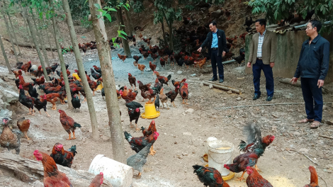 Bắc Giang: Tín dụng chính sách góp phần đẩy mạnh sản xuất, kinh doanh (11/7/2023)
