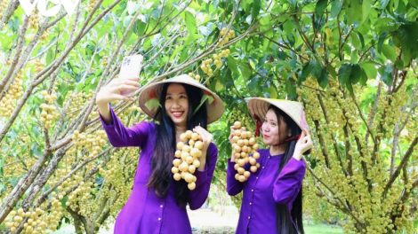 Cần Thơ: Phát triển du lịch gắn với phát huy bản sắc văn hóa truyền thống (08/7/2023)