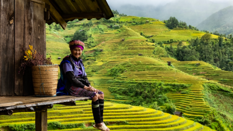 Du lịch kỳ nghỉ lễ 2/9: Không ghi nhận sự gia tăng đột biến (29/8/2023)
