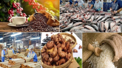 Vượt khó khăn, xuất khẩu nông sản tăng trưởng mạnh (14/08/2023)