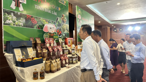 Đắk Lắk tiếp tục khẳng định vị thế sản phẩm địa phương (14/8/2023)