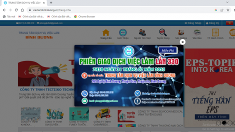 Phát triển sàn giao dịch việc làm để phát triển thị trường lao động (12/8/2023)