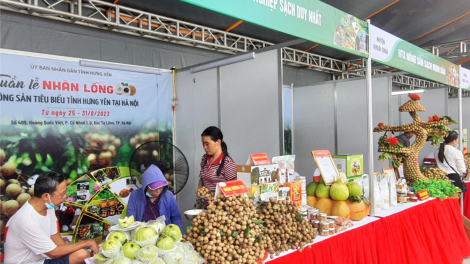 Khai mạc Tuần lễ nhãn lồng- Nông sản tiêu biểu tỉnh Hưng Yên tại Hà Nội (25/8/2023)