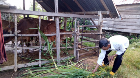 Đắk Lắk chăm lo đời sống cho đồng bào dân tộc thiểu số (30/8/2023)