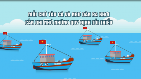 Nam Định thực hiện các giải pháp gỡ thẻ vàng (23/08/2023)