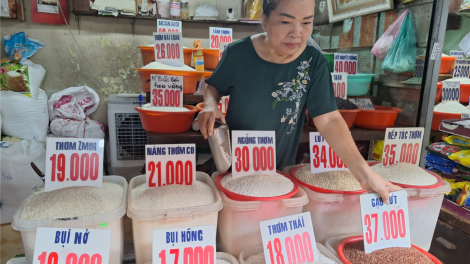 Gạo ở chợ truyền thống TP.HCM tăng giá (9/8/2023)