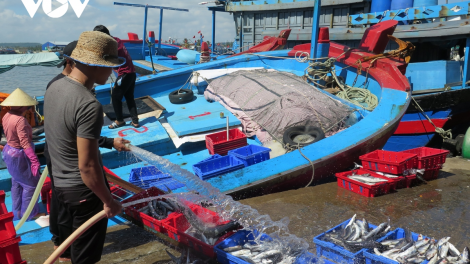Phát triển nghề cá theo hướng bền vững (14/08/2023)
