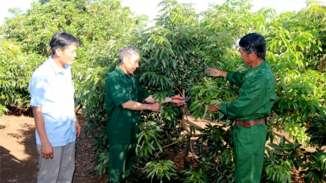 Phát huy vai trò gương mẫu của cựu chiến binh trong giáo dục truyền thống cho thế hệ trẻ (16/8/2023)